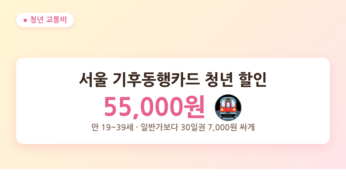 서울 기후동행카드 청년 할인 30일권 55000원 대표 이미지