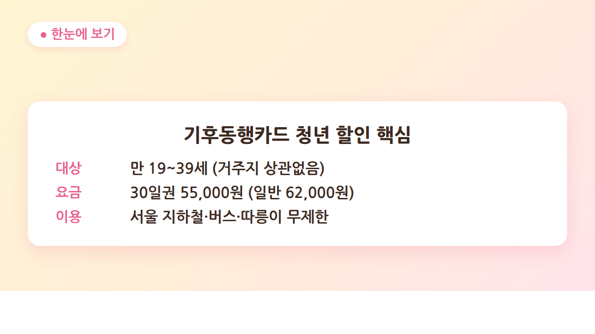 기후동행카드 청년 할인 대상 요금 이용범위 요약