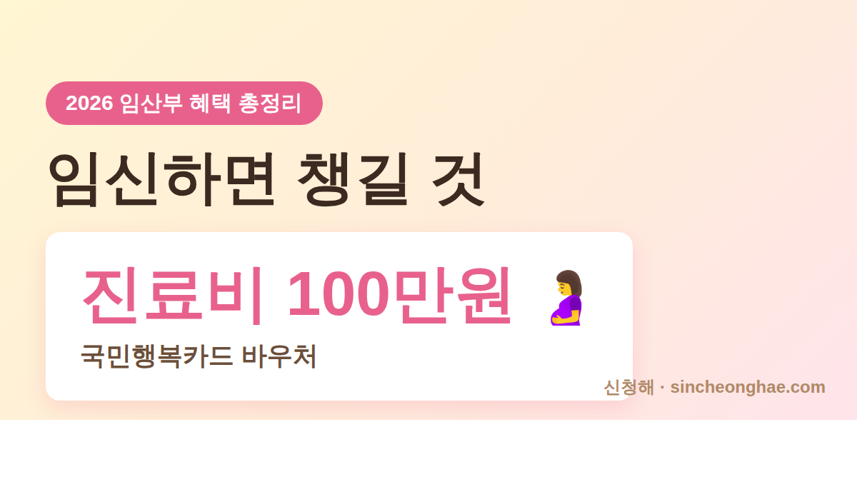 2026 임산부 혜택 총정리 대표 이미지 - 임신출산 진료비 100만원