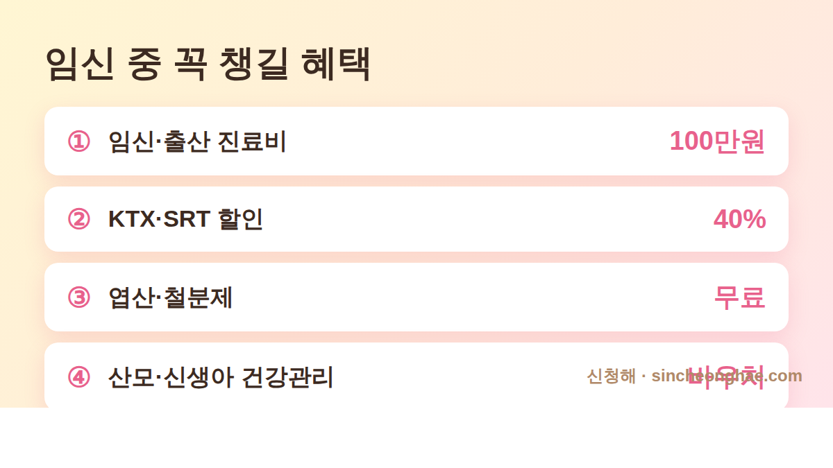 2026 임산부 임신 중 챙길 혜택 진료비 KTX 엽산제 산후도우미