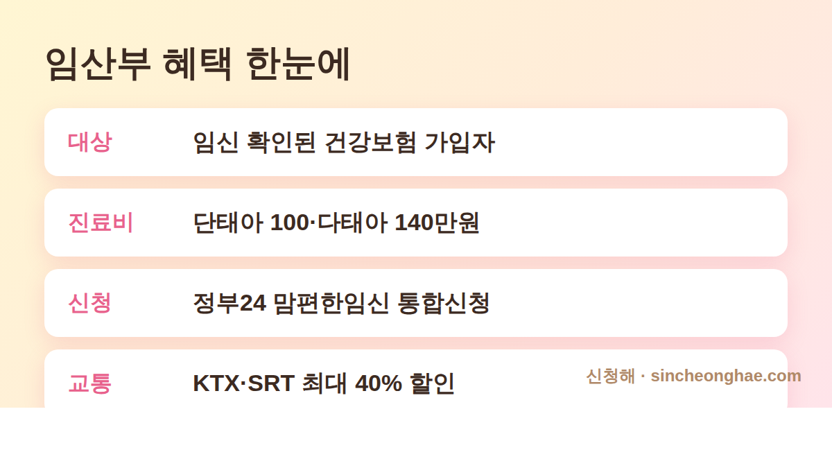 2026 임산부 혜택 대상 진료비 신청 교통할인 요약표