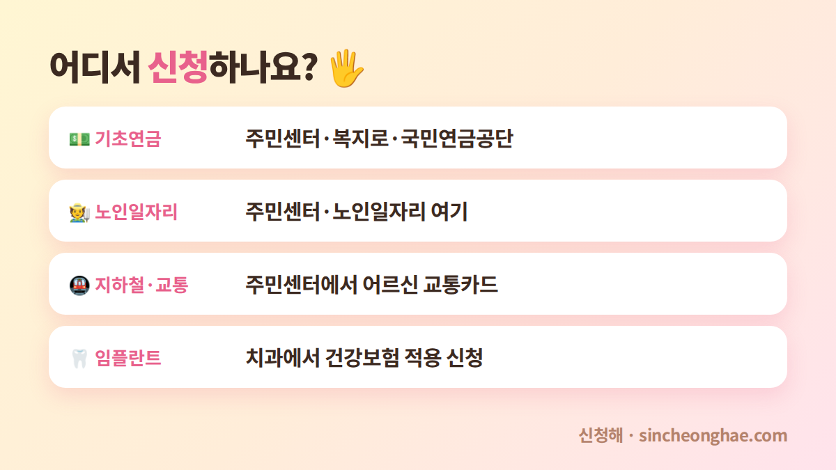 어르신 혜택 신청 방법 기초연금 노인일자리 교통 임플란트