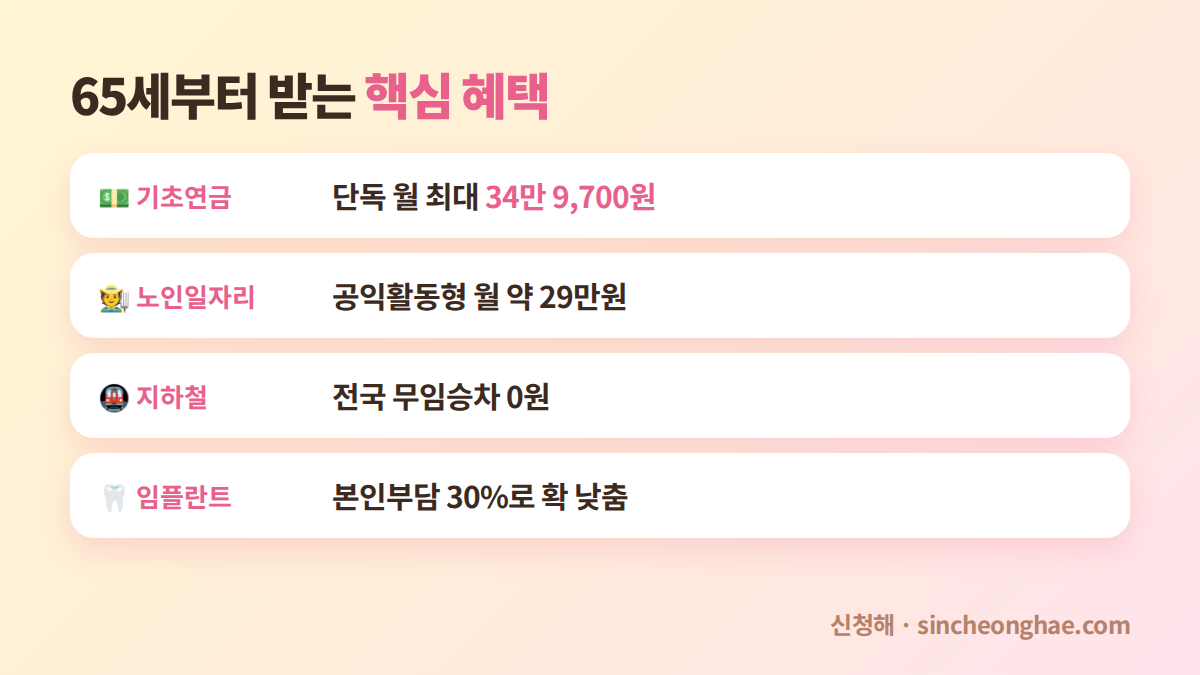 65세 이상 어르신 혜택 기초연금 노인일자리 지하철 임플란트