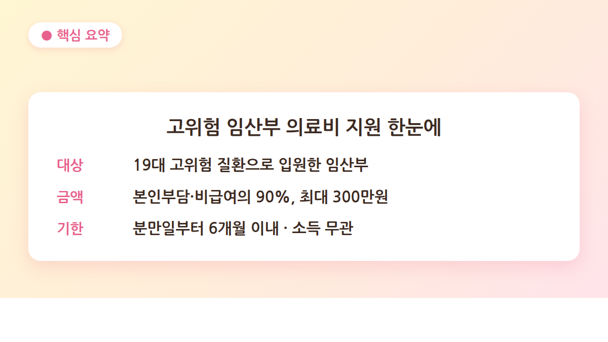고위험 임산부 의료비 지원 핵심 요약 — 대상·금액·기한 한눈에