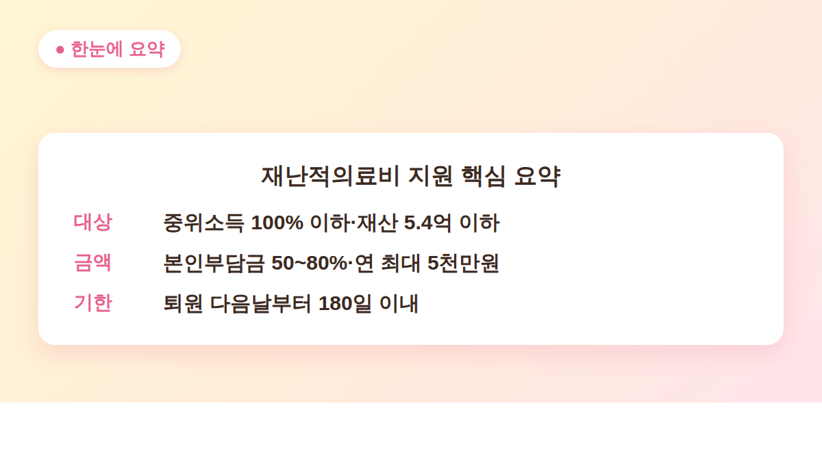재난적의료비 지원 대상·금액·신청 기한 핵심 요약 카드