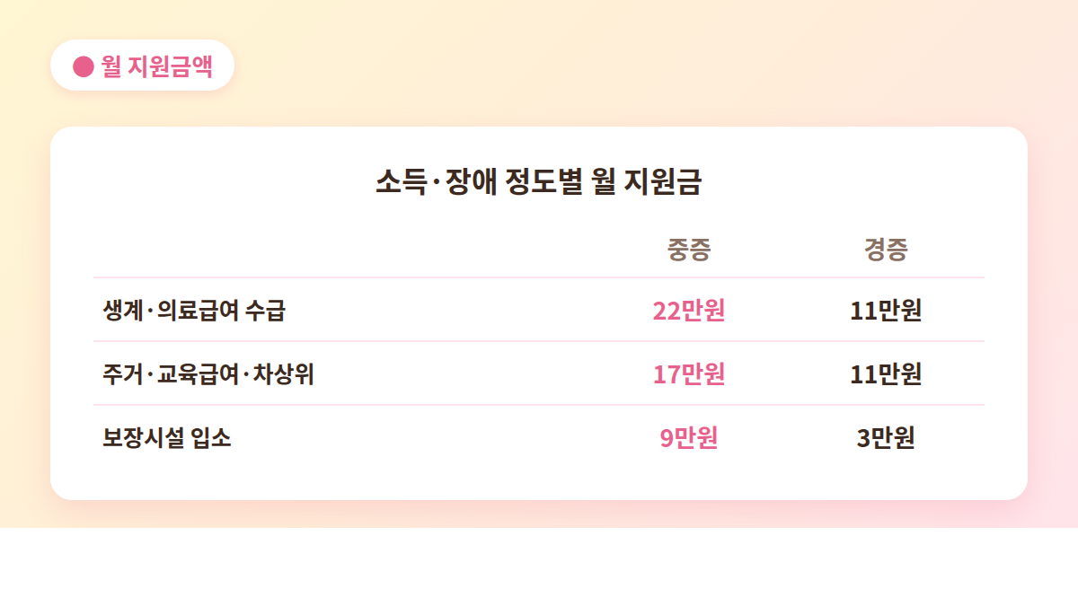 장애아동수당 소득·장애 정도별 월 지원금액 표 (중증 22만원 경증 11만원)