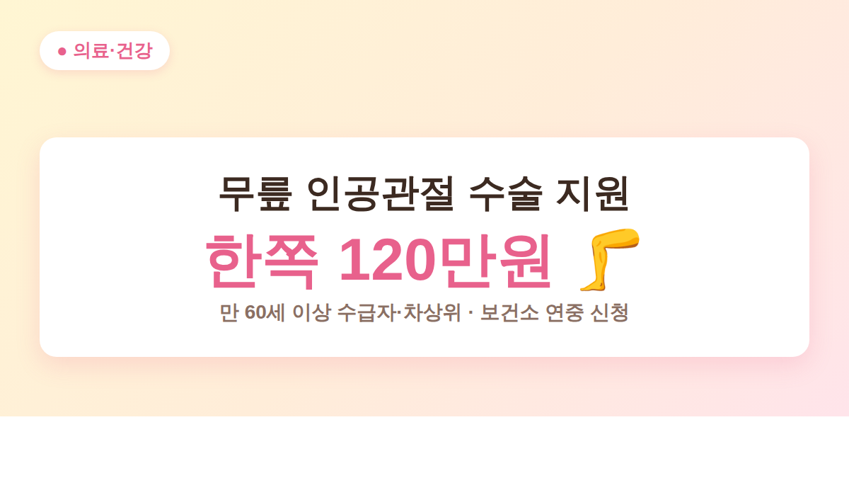 무릎 인공관절 수술 지원 신청 방법·대상·금액 한쪽 120만원 안내