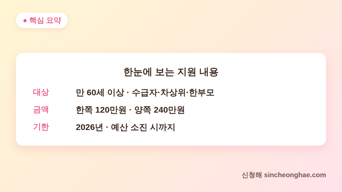 무릎 인공관절 수술 지원 대상·금액·기한 핵심 요약표