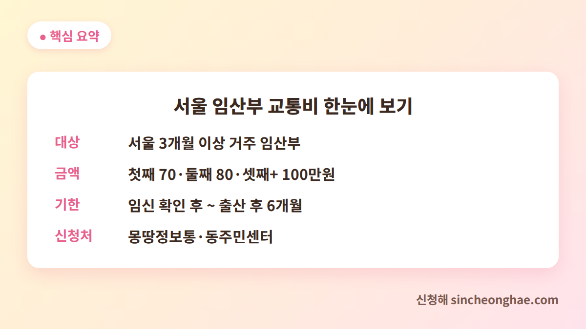 서울 임산부 교통비 대상 금액 기한 신청처 핵심 요약