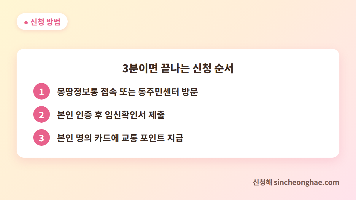 서울 임산부 교통비 신청 방법 3단계 안내